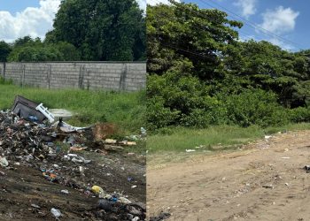 Recuperado punto crítico de la Oriental, tras jornada de limpieza