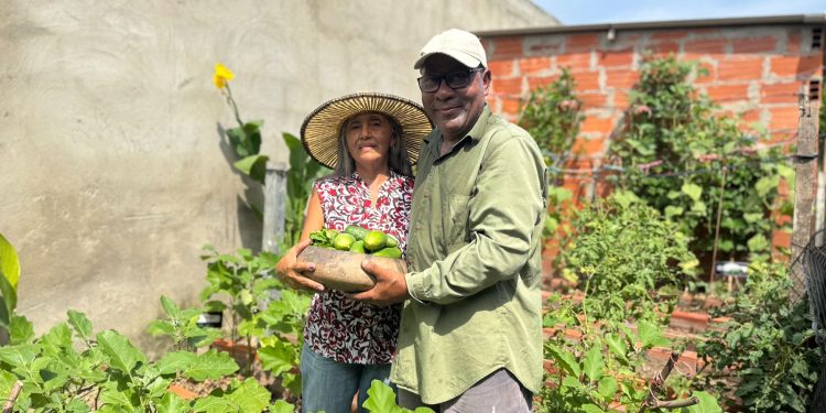 Distrito fortalece tejido social a través de la construcción de huertas comunitarias