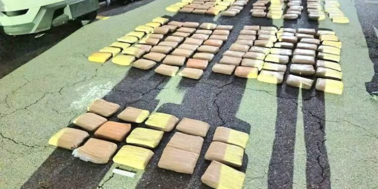 Capturan a tres colombianos en Ecuador con más de 173 kilos de marihuana