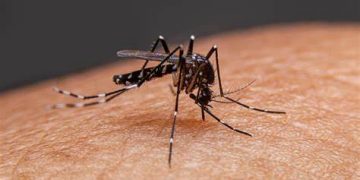 Atlántico intensifica acciones contra el dengue: más de 4.600 casos en lo que va del 2025