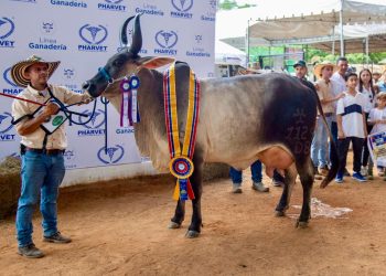 Atlántico, departamento invitado a la Feria Nacional de la Ganadería 2025