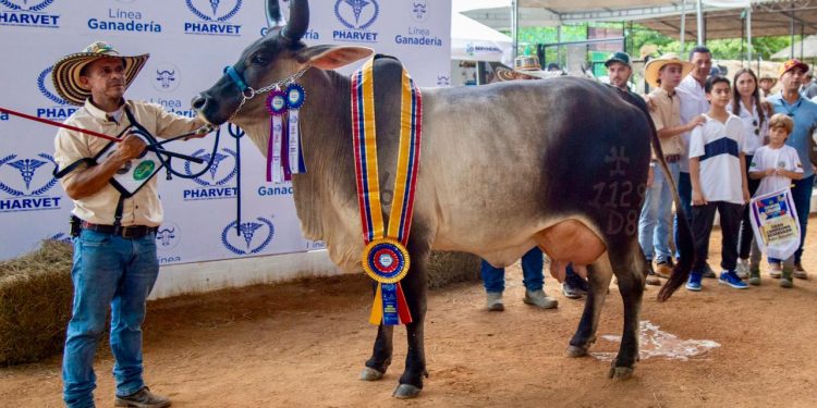 Atlántico, departamento invitado a la Feria Nacional de la Ganadería 2025