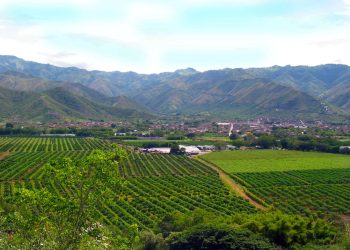 Procuraduría abre indagación por posible información falsa sobre hectáreas compradas por la ANT