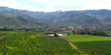 Procuraduría abre indagación por posible información falsa sobre hectáreas compradas por la ANT