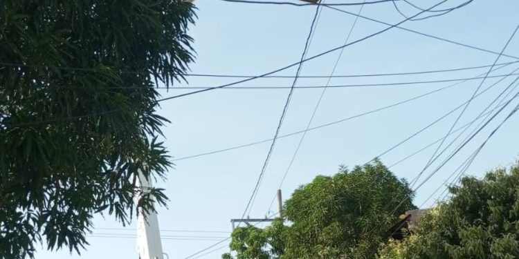 Sin luz este lunes sectores del centro de Barranquilla: mantenimiento en circuito Río 10