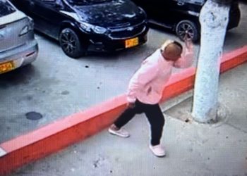 Buscan a hombre que mató de una patada a un perro en Santa Marta: piden cárcel