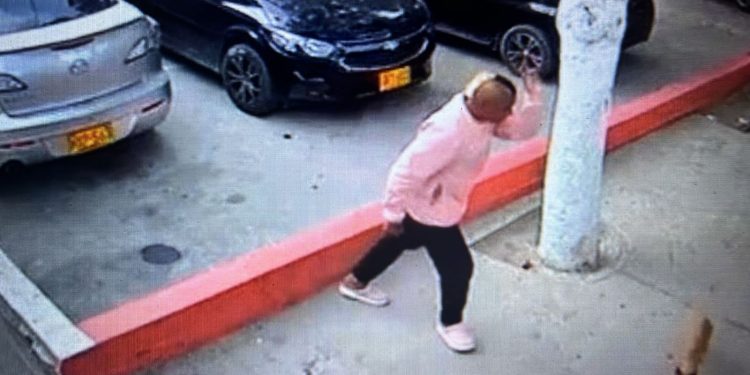 Buscan a hombre que mató de una patada a un perro en Santa Marta: piden cárcel