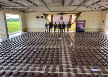 Más de una tonelada y media de marihuana incautada en Casanare: delincuentes intentaron sobornar a tropas del Ejército Nacional