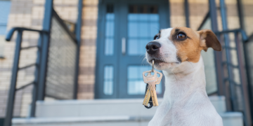 Ley colombiana pone freno a dueños de mascotas en conjuntos residenciales: podrían enfrentar multas y restricciones