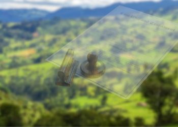 Juzgado declaró nulidad de artículo que había incluido predio ubicado en reserva forestal en Ginebra, Valle del Cauca, como de uso sub urbano