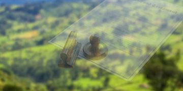 Juzgado declaró nulidad de artículo que había incluido predio ubicado en reserva forestal en Ginebra, Valle del Cauca, como de uso sub urbano