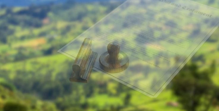 Juzgado declaró nulidad de artículo que había incluido predio ubicado en reserva forestal en Ginebra, Valle del Cauca, como de uso sub urbano