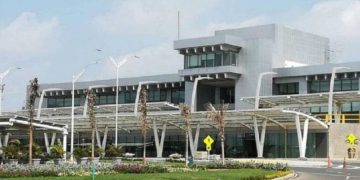 Enjambre de abejas retrasó vuelo de Spirit hacia Miami en el aeropuerto de Barranquilla