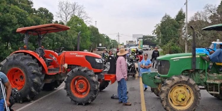 Arroceros de Santander se unen al paro nacional con bloqueos en Sabana de Torres