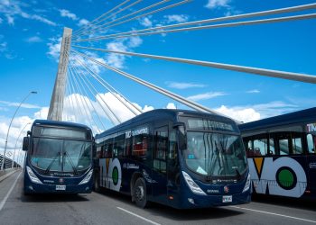 En julio, Transmetro celebra 15 años como símbolo de movilidad, sostenibilidad e inclusión