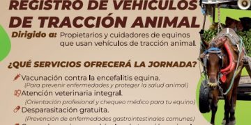 Malambo lidera jornada integral de bienestar animal
