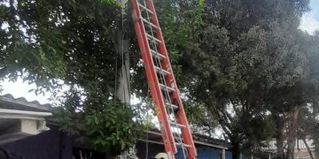 Sectores de Soledad como La Arboleda, Las Marinas, El Ferrocarril, estarán sin energía este viernes