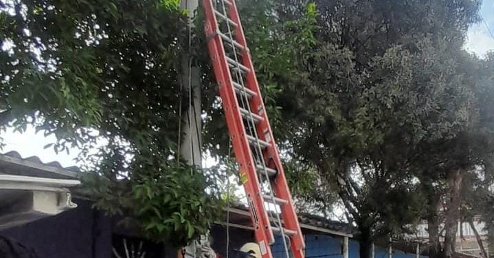 Sectores de Soledad como La Arboleda, Las Marinas, El Ferrocarril, estarán sin energía este viernes