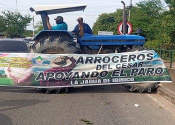 Arroceros cumplen cuatro días de paro y exigen diálogo con el Gobierno: no levantarán bloqueos sin acuerdos