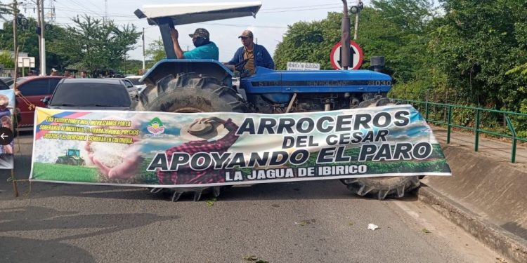 Arroceros cumplen cuatro días de paro y exigen diálogo con el Gobierno: no levantarán bloqueos sin acuerdos