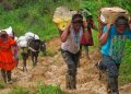 Alarma por desplazamiento forzado en Colombia: 77.719 víctimas en lo que va de 2025