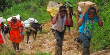 Alarma por desplazamiento forzado en Colombia: 77.719 víctimas en lo que va de 2025