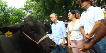 Ganadería con pedigrí: Atlántico pone a parir vacas de élite para revolucionar el campo