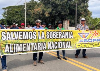 El arroz sobre la mesa: Gobierno y arroceros buscan salidas a un paro que paraliza el país