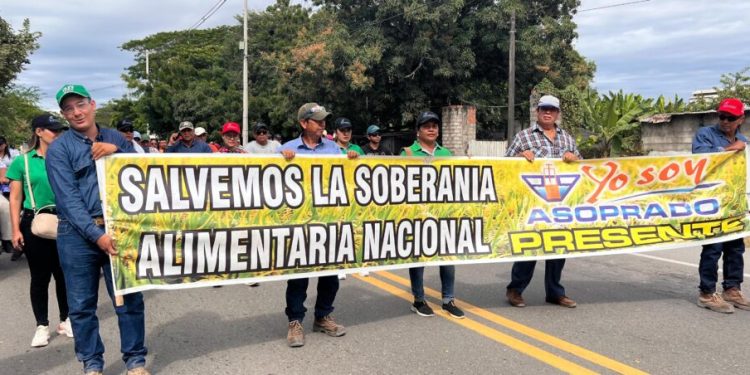 El arroz sobre la mesa: Gobierno y arroceros buscan salidas a un paro que paraliza el país