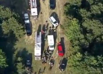 Avioneta se estrelló en un bosque de Nueva Jersey: 15 heridos