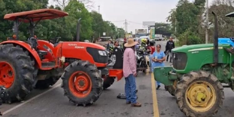 El arroz se planta en las carreteras: comienza el Paro Nacional Arrocero