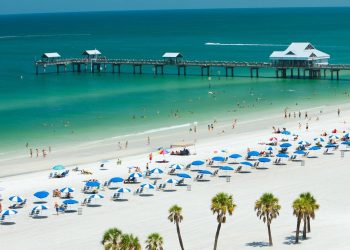 Cuatro muertos por bacteria carnívora en el mar de Florida: alertan incremento de casos en verano