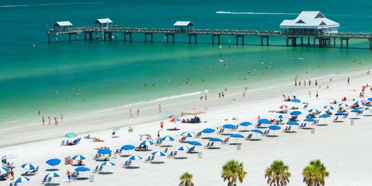 Cuatro muertos por bacteria carnívora en el mar de Florida: alertan incremento de casos en verano