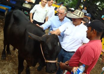 Gobernación del Atlántico y Asoganorte impulsan revolución ganadera con embriones de alta genética