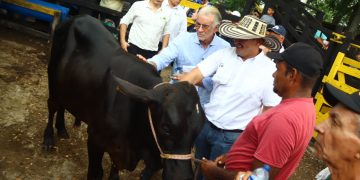 Gobernación del Atlántico y Asoganorte impulsan revolución ganadera con embriones de alta genética