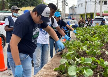 Barranquilla sigue consolidándose como ciudad sostenible: así ha reducido más de 30 toneladas anuales de CO2