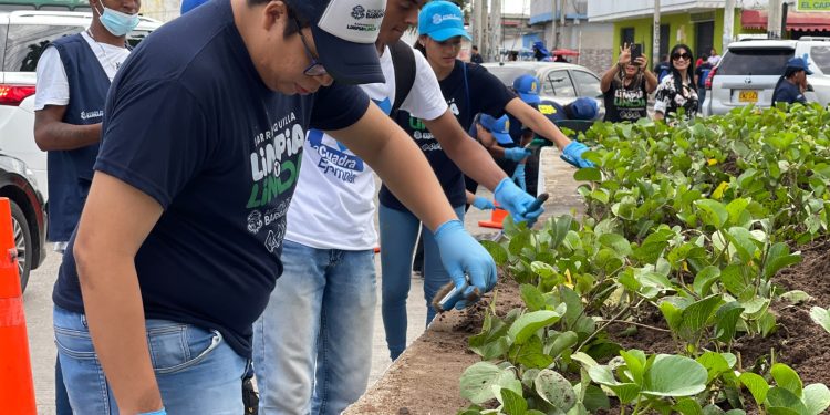 Barranquilla sigue consolidándose como ciudad sostenible: así ha reducido más de 30 toneladas anuales de CO2