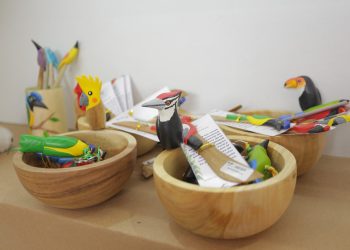 Barranquilla se viste de sostenibilidad con Expo