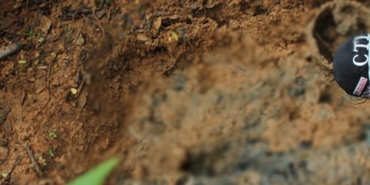 Fosa en Guaviare: líderes cavaron su tumba antes de ser asesinados por disidencias