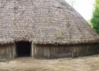 Procuraduría solicita acompañamiento del Gobierno Nacional a comunidad indígena con dificultades en proyecto de bonos de carbono