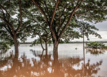 Procuraduría pide apoyo a UNGRD para enfrentar emergencia invernal en Curillo, Caquetá