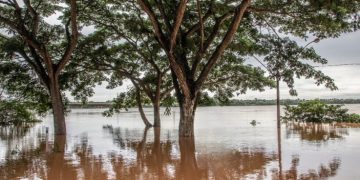 Procuraduría pide apoyo a UNGRD para enfrentar emergencia invernal en Curillo, Caquetá