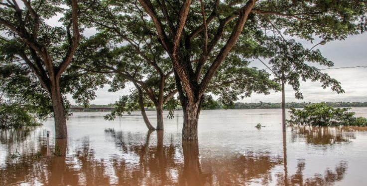 Procuraduría pide apoyo a UNGRD para enfrentar emergencia invernal en Curillo, Caquetá