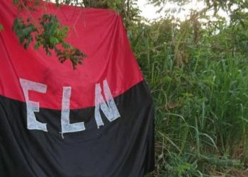 ELN anuncia paro armado de 48 horas en Chocó a partir del 25 de julio