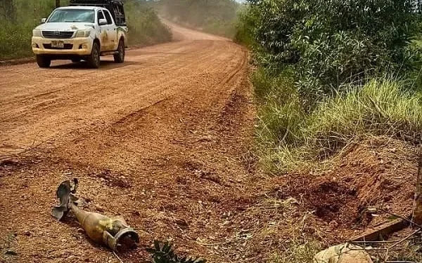 Ejército Nacional destruyó 18 minas antipersonal del Bloque Jorge Suárez Briceño en el Meta