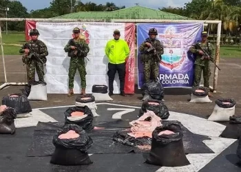 Ejército destruyó más de 1.000 kilos de ANFO, en el Putumayo, protegiendo así a la población civil