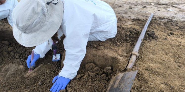 UBPD recupera dos cuerpos en predio donde habría operado una base paramilitar en Remolino, Magdalena