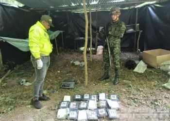 Más de 300 kilos de clorhidrato de cocaína fueron hallados en un laboratorio destruido en San Alberto, Cesar
