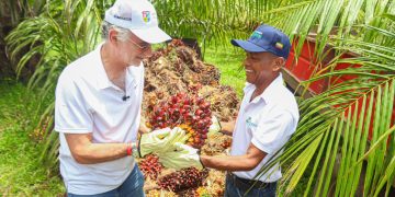 Gobernador Verano impulsa el agro a través de 2.062 hectáreas sembradas en palma, plátano y limón Tahití