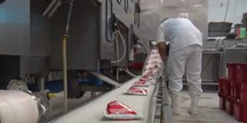 Ni amenazas ni miedo: Coolechera seguirá adelante